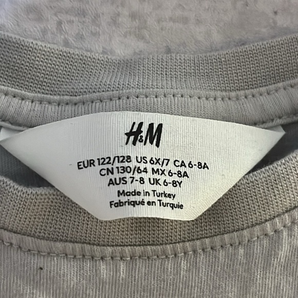 4/$20 H&M Boys Grey Cotton Basic T-Shirt Size 6-8 Years Round Neck - Dinosaur - Picture 4 of 6